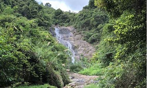 深圳马峦山郊野公园攻略_深圳马峦山郊野公