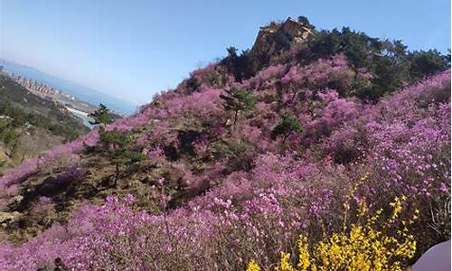 大珠山风景区门票预约_大珠山风景区门票预